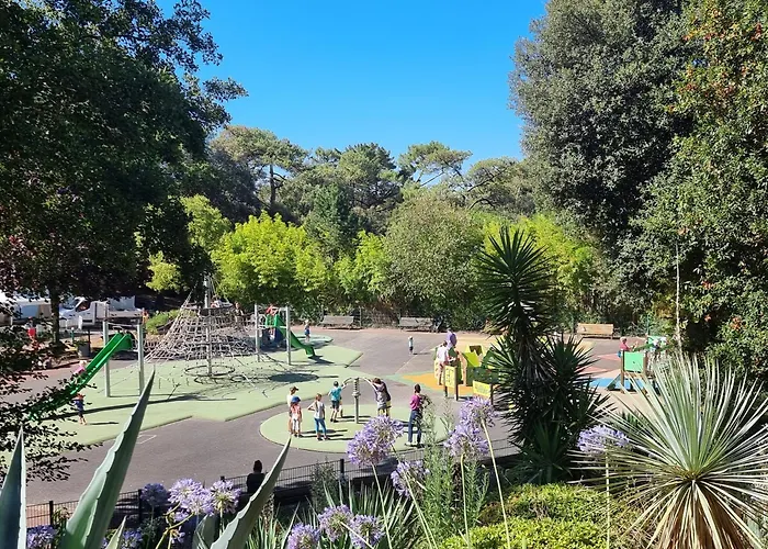 Les Dryades 4 Pax Apartment