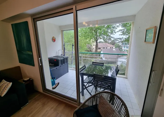 Apartment Les Dryades 4 Pax *